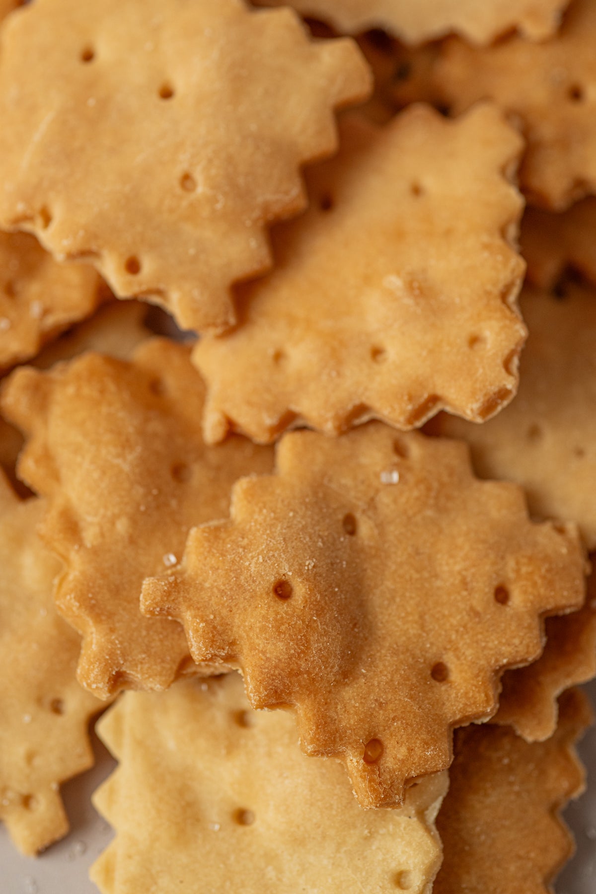 CRACKERS NATURAL