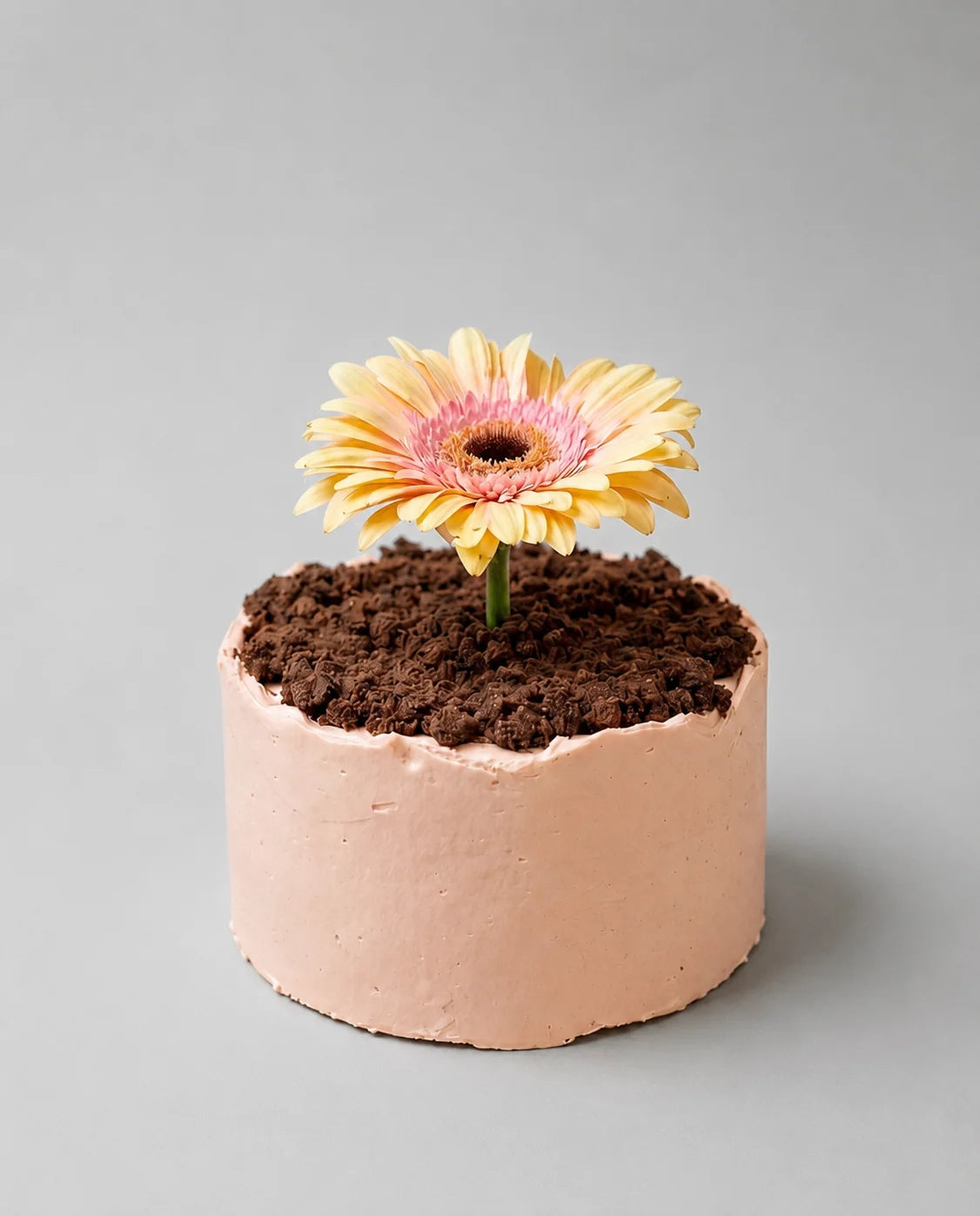Tarta Flor sin gluten decorada como una maceta con crumble de cacao y gerbera natural.
